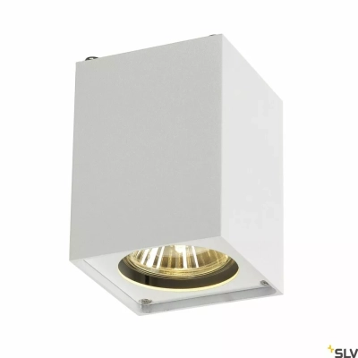 Altra Dice lampa sufitowa 1xGU10 biała 151511 SLV