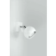 OCULARE 1 White reflektorek kinkiet plafon Sollux lighting