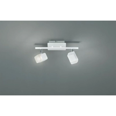 Roubaix lampa sufitowa 2 x 4W LED R82152131 TRIO Lighting