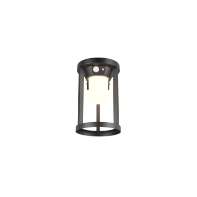 Carmo Solar lampa ścienna IP54 LED 2W 130lm 3000K 241069132 z czujnikiem ruchu Trio Lighting