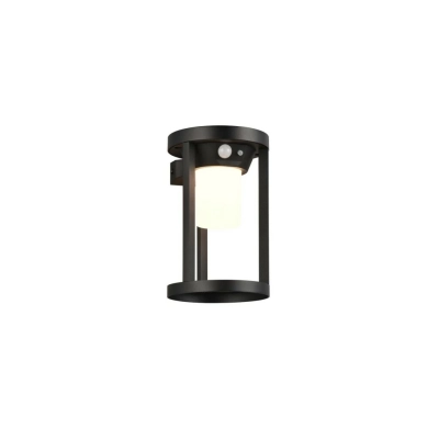 Carmo Solar lampa ścienna IP54 LED 2W 130lm 3000K 241069132 z czujnikiem ruchu Trio Lighting