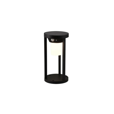 Carmo Solar lampa stojąca IP54 LED 2W 130lm 3000K 541069132 z czujnikiem ruchu Trio Lighting