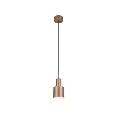 Agudo lampa wisząca 1xE27 brązowa 319400165 Trio Lighting