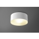 Aquaform ONLY RUNDE Ø140 lampa sufitowa LED 8 W 350 lm CRI>90 biała, czarna, szara, miedziana lub złota